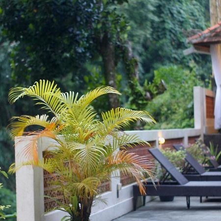 Hanaka Riverside Ubud מראה חיצוני תמונה