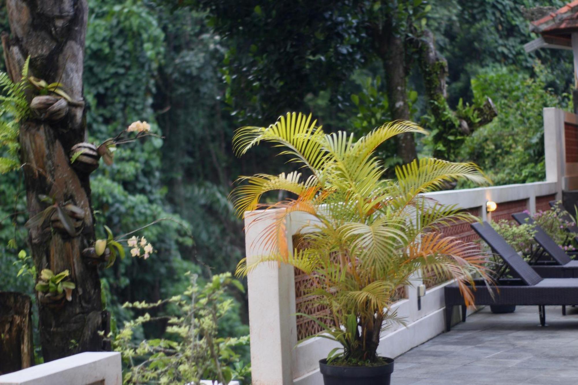Hanaka Riverside Ubud מראה חיצוני תמונה