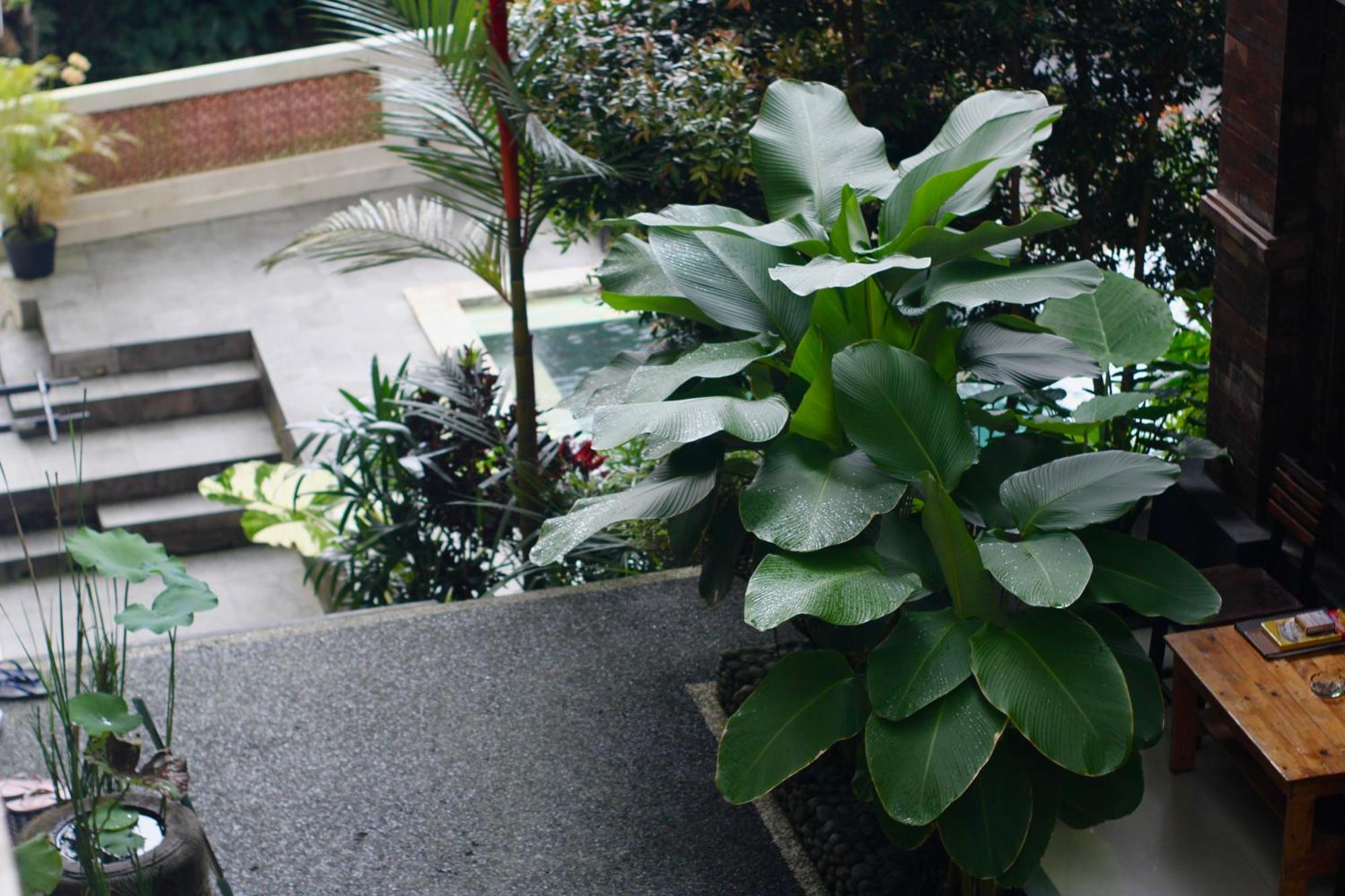 Hanaka Riverside Ubud מראה חיצוני תמונה
