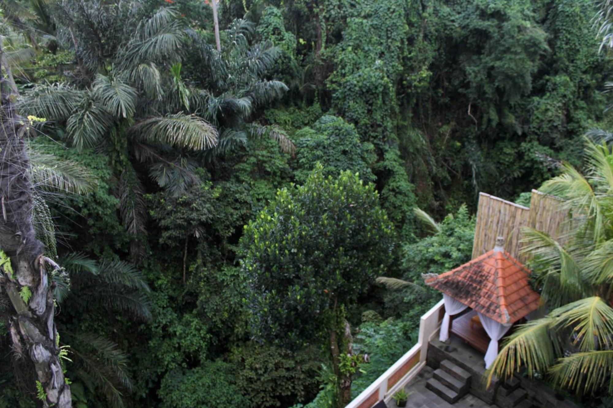 Hanaka Riverside Ubud מראה חיצוני תמונה