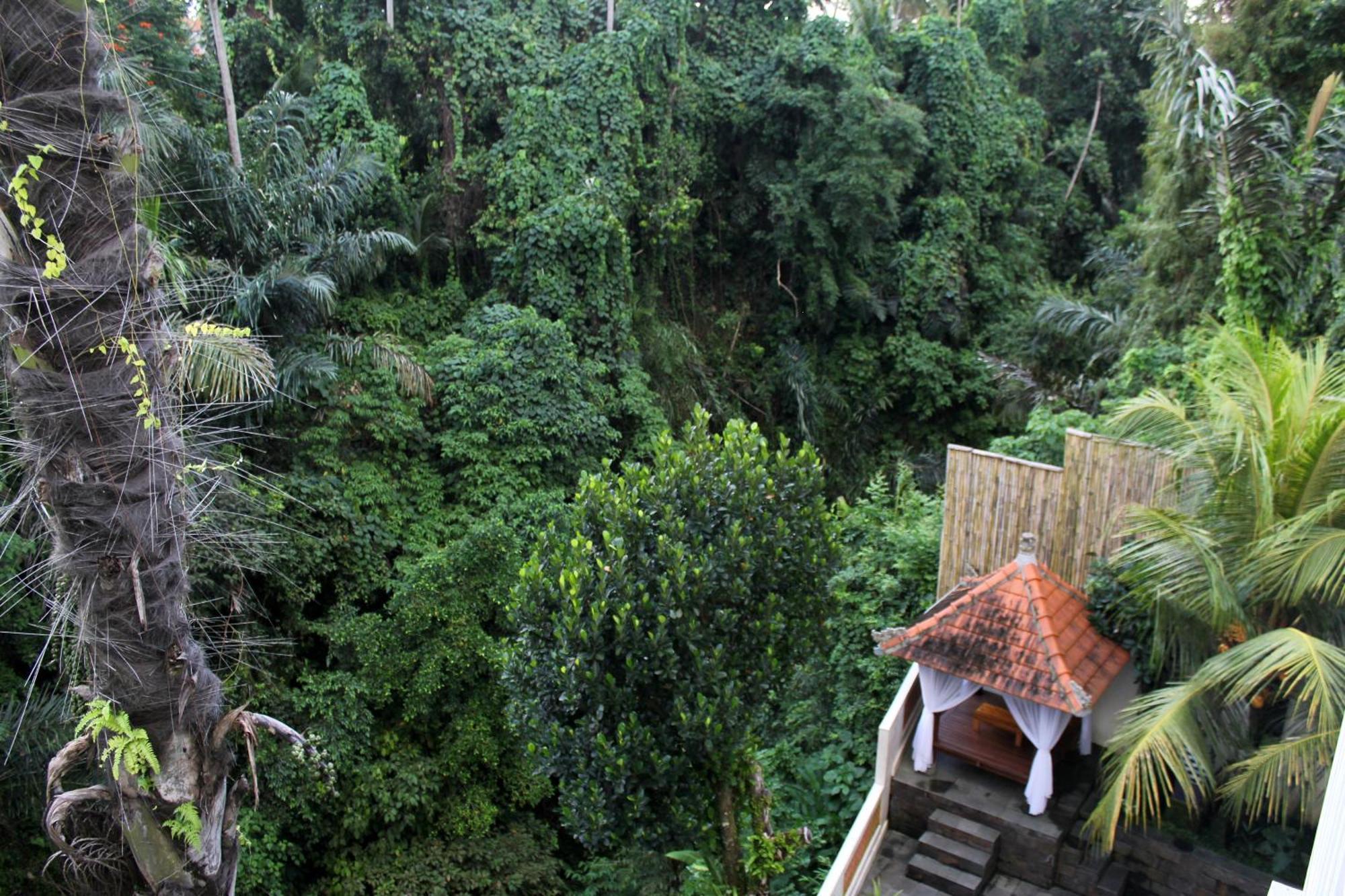 Hanaka Riverside Ubud מראה חיצוני תמונה