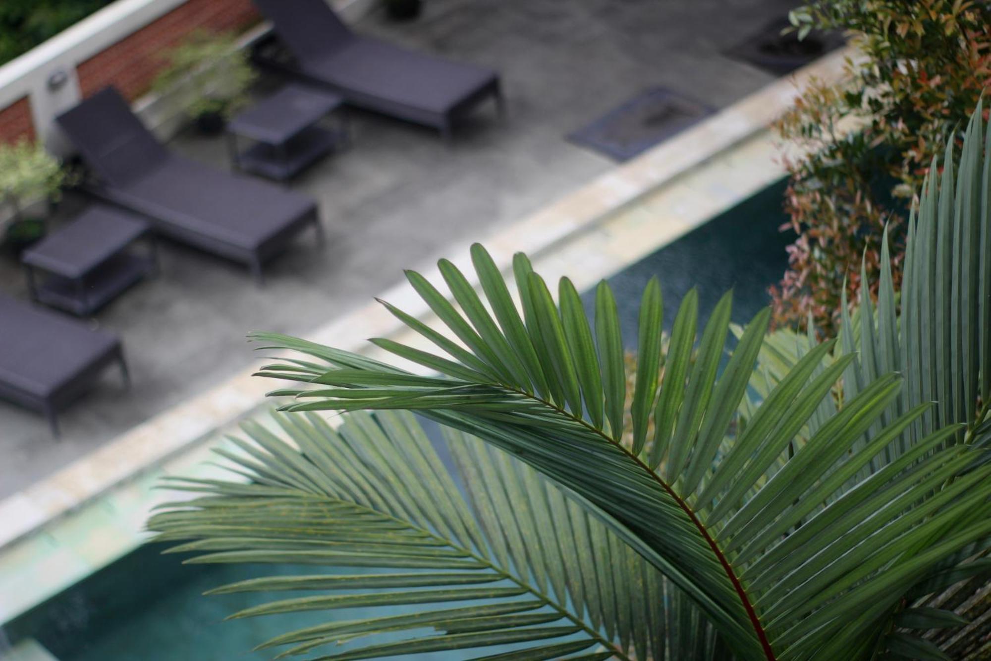 Hanaka Riverside Ubud מראה חיצוני תמונה